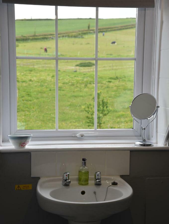 Lower Bryanston Farm Blandford Forum Esterno foto