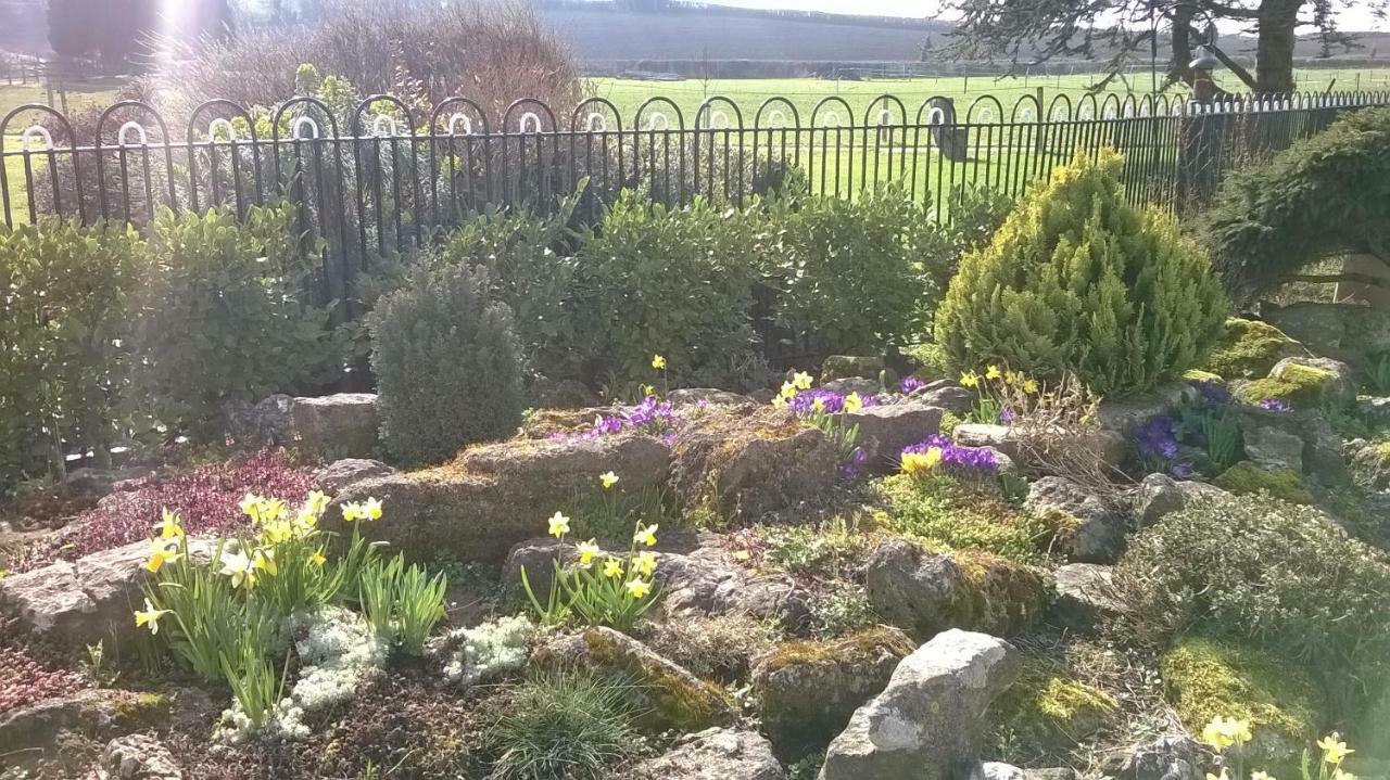 Lower Bryanston Farm Blandford Forum Esterno foto