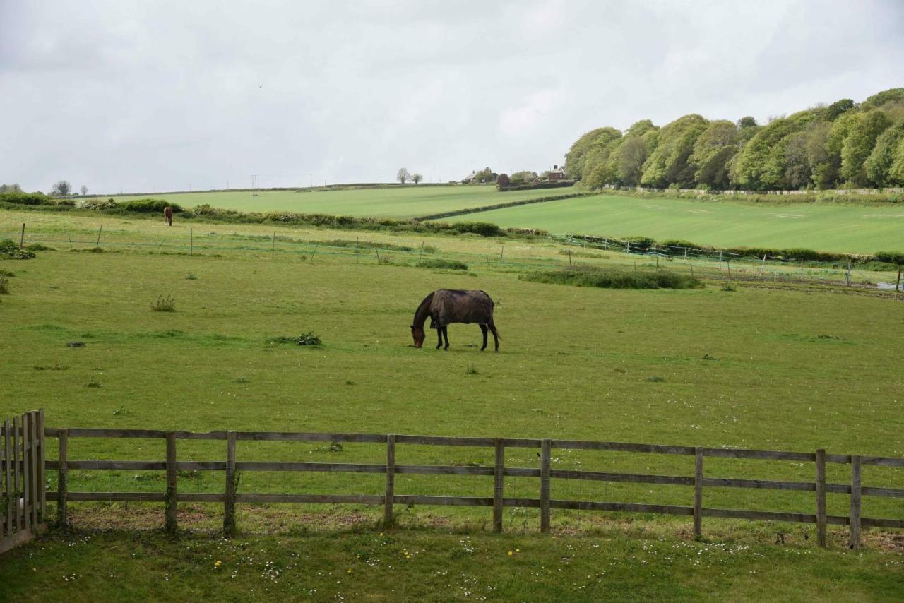 Lower Bryanston Farm Blandford Forum Esterno foto
