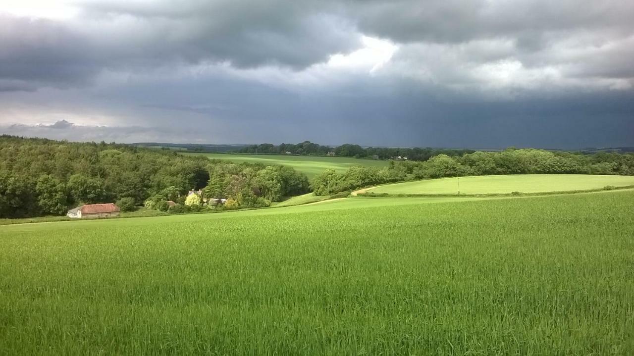 Lower Bryanston Farm Blandford Forum Esterno foto